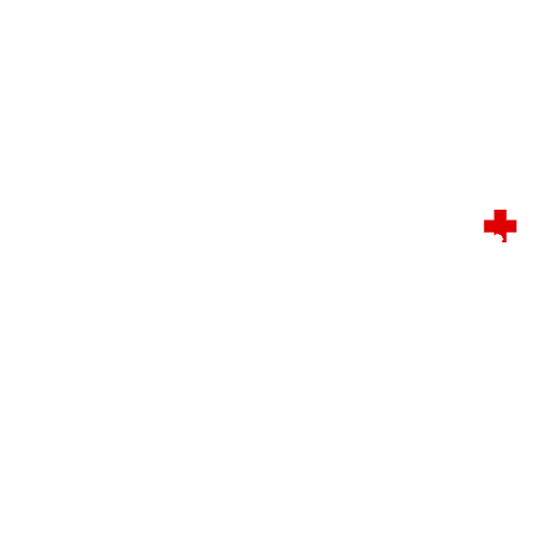 us.seoclinix.com